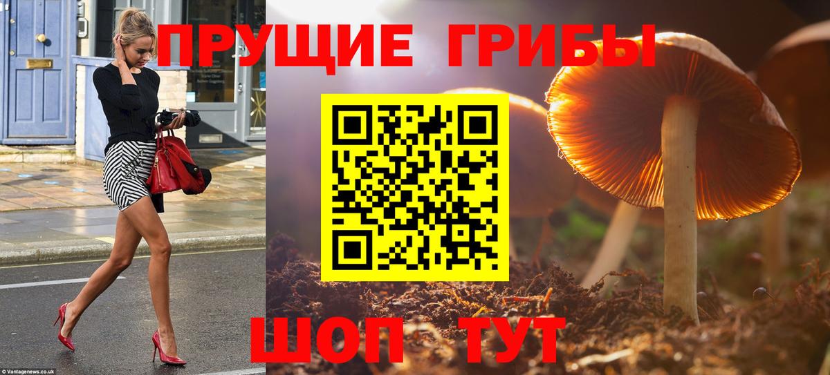 Галлюциногенные грибы мухоморы  Вход с VPN  Луховицы 